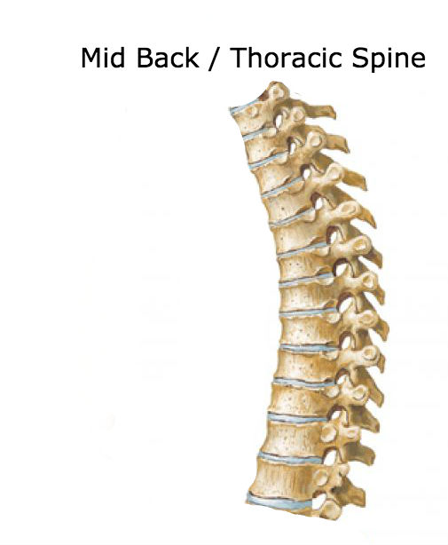 Thoracic Herniated Disc Treatment Exercises / Thoracic Herniated Disc