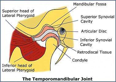 TMD Temporomandibular Joint Dysfunction also affects the muscles and joint causing pain in the jaw with opening closing and sometimes causing clicking, and locking Toronto Downtown Chiropractor Dr. Ken Nakamura