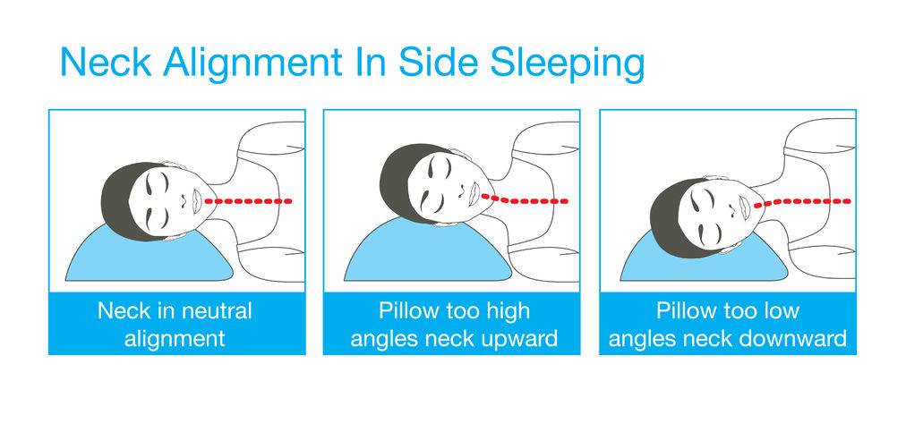 49365147 - right alignment of neck, head, and shoulder in sleep with back sleeping posture. this is healthy lifestyle illustration.