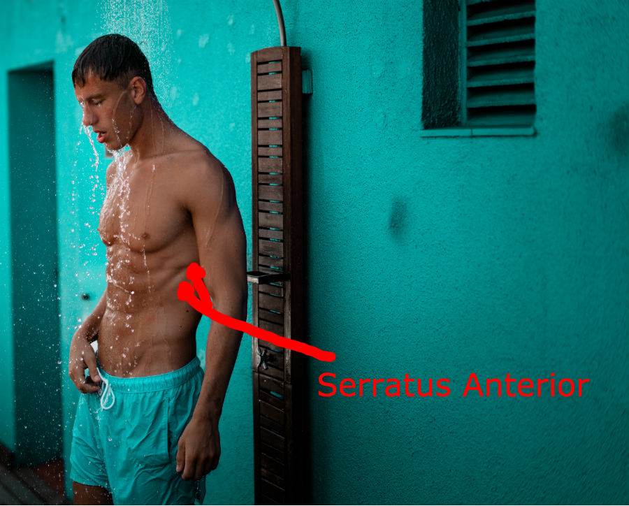 Fix Winged Scapula: Strengthen Your Serratus Anterior | Part 2