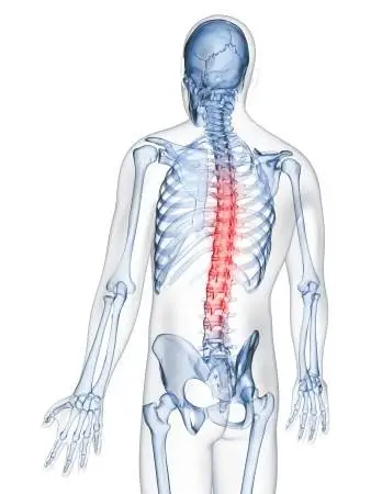 Best Toronto Chiropractor: How to Find The Best Chiropractor In Your City