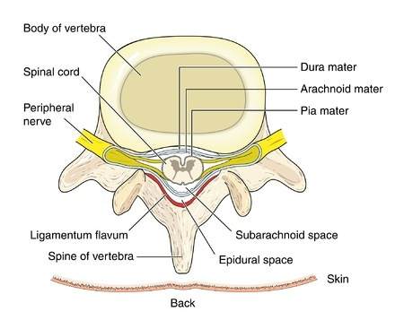 Spinal Stenosis Is Your Treatment Right Or Wrong: Toronto Downtown Chiropractor